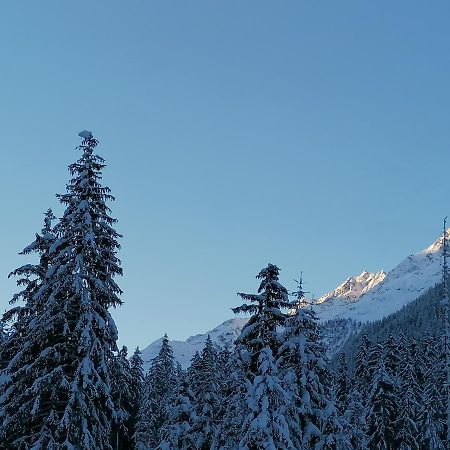 Mooshof Apartment Kaunertal Exterior photo